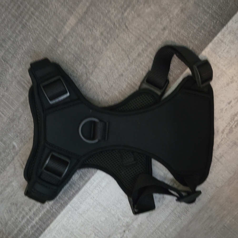 Quince black neoprene dog harness M